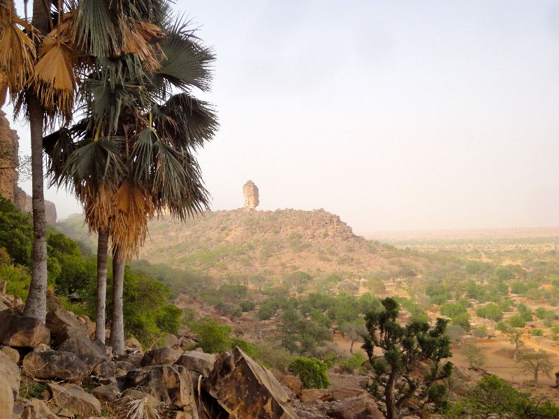 Palmen in Bandiagara