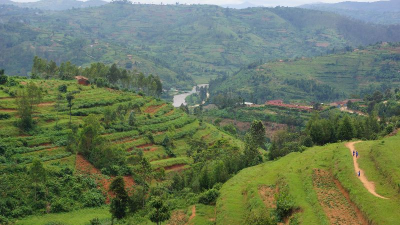 Nyabarongo Ruanda